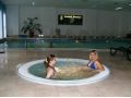 Hotel Conacul Domnesc, Scheia - thumb 8