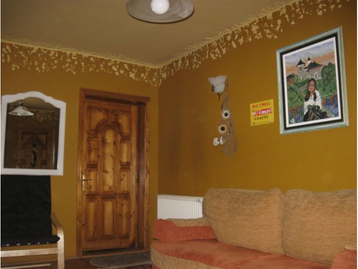Pensiunea Leaganul Bucovinei, Suceava Oras - imaginea 