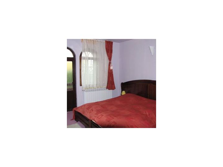 Pensiunea Casa Lucan, Vama - imaginea 
