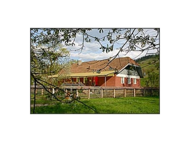 Pensiunea Casa Ott, Vama - imaginea 