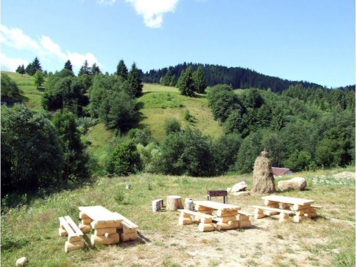 Pensiunea Florentina, Vama - imaginea 