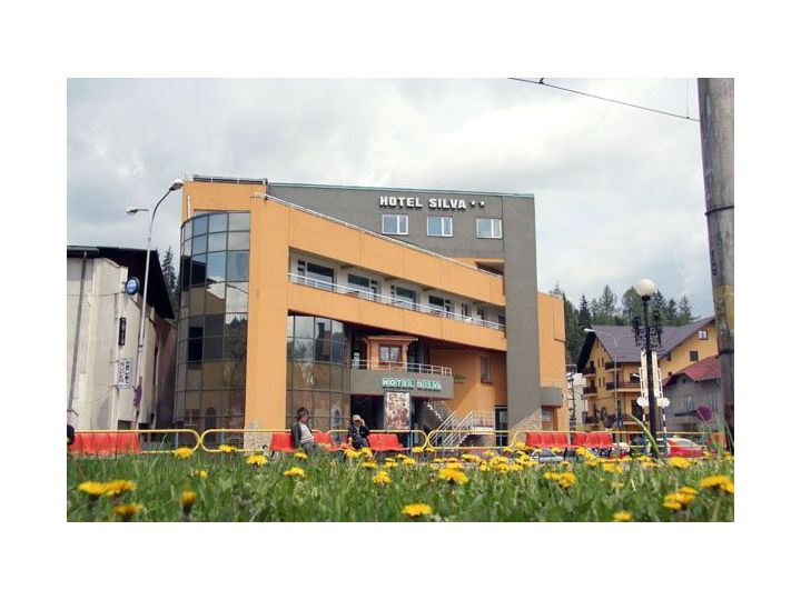 Hotel Silva, Vatra Dornei - imaginea 