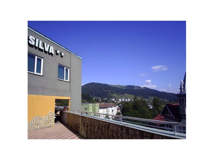 Hotel Silva, Vatra Dornei - imaginea 