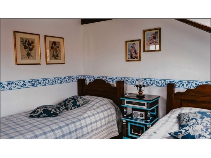 Pensiunea Casa Altringen, Bogda - imaginea 