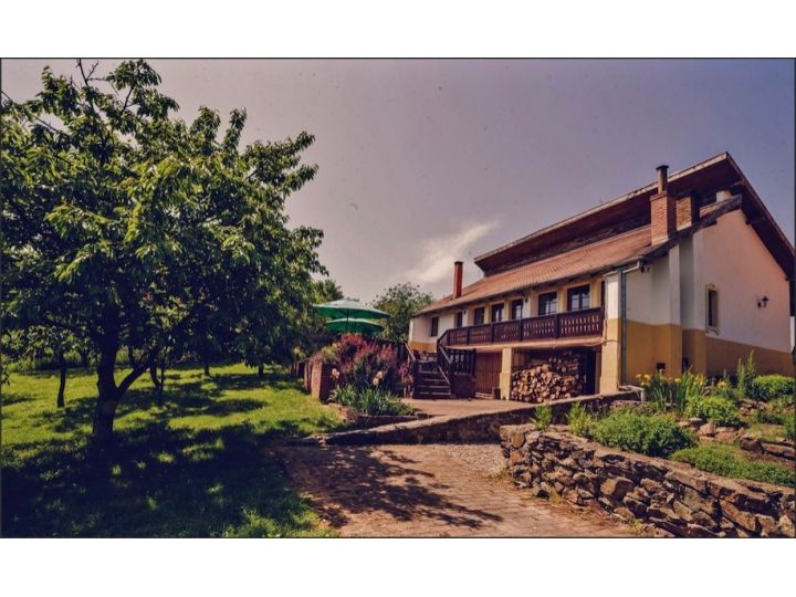 Pensiunea Casa Altringen, Bogda - imaginea 