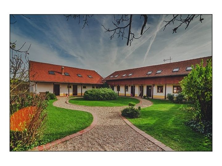 Pensiunea Casa Altringen, Bogda - imaginea 