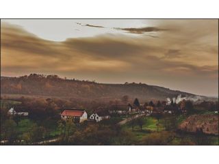 Pensiunea Casa Altringen, Bogda - 4