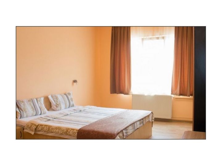 Pensiunea Alicia, Timisoara - imaginea