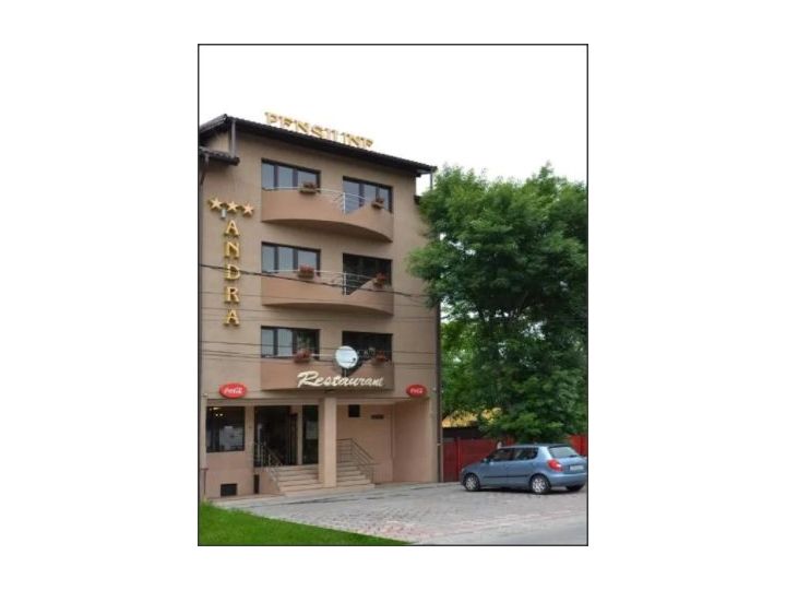 Pensiunea Andra, Timisoara - imaginea