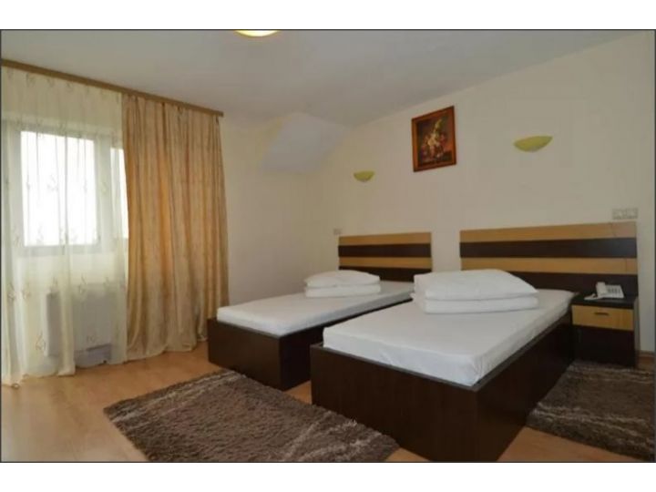 Pensiunea Andra, Timisoara - imaginea
