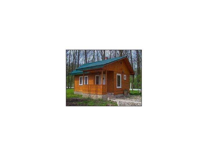 Campingul International, Timisoara - imaginea