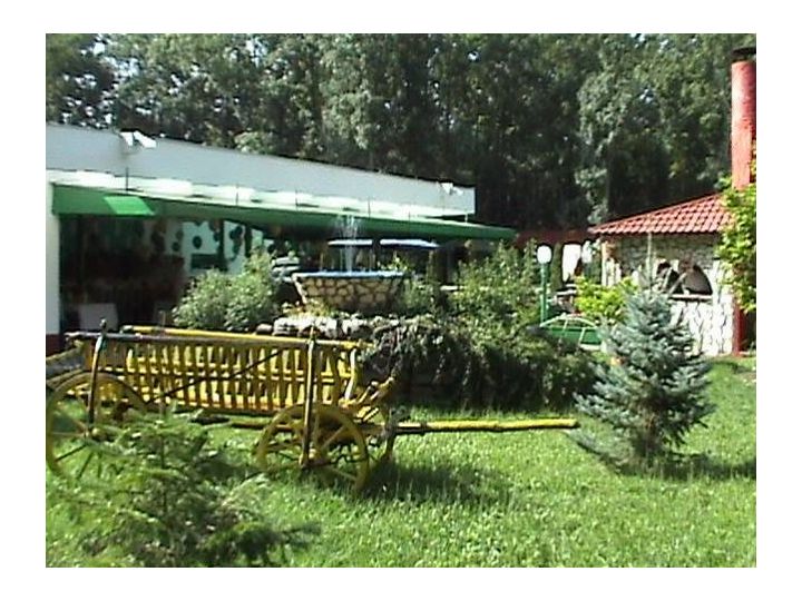 Campingul International, Timisoara - imaginea