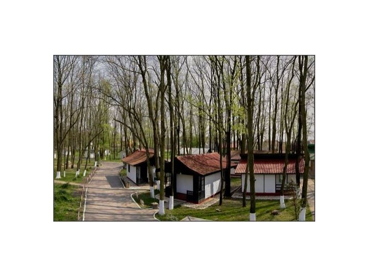 Campingul International, Timisoara - imaginea