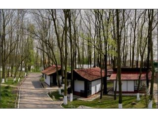 Campingul International, Timisoara - 2