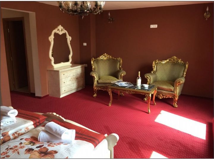 Hotel Le Baron, Timisoara - imaginea 