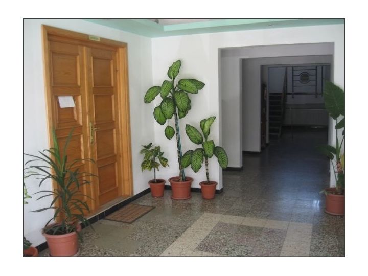 Hostel Mara, Timisoara - imaginea