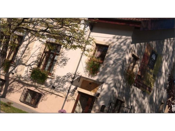 Pensiunea Park, Timisoara - imaginea