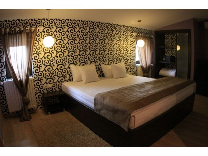 Hotel Ramina, Timisoara - imaginea