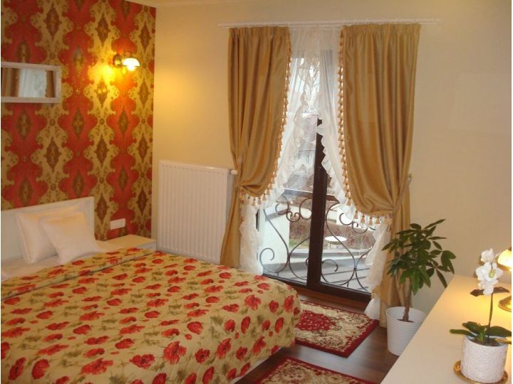 Hotel Ramina, Timisoara - imaginea