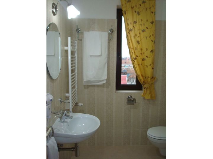 Hotel Ramina, Timisoara - imaginea