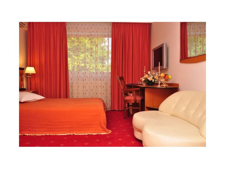 Hotel Royal Plaza, Timisoara - imaginea