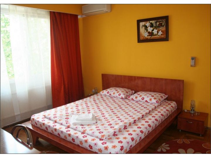 Pensiunea Frank Sydney, Timisoara - imaginea