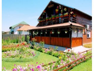 Pensiunea Casa Cu Flori, Crisan - 2