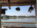 Pensiunea Paradise Delta House, Crisan - thumb 10
