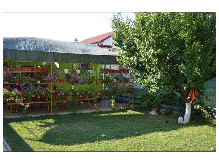 Camere de inchiriat Casa Nelu Pescaru, Mahmudia - imaginea 