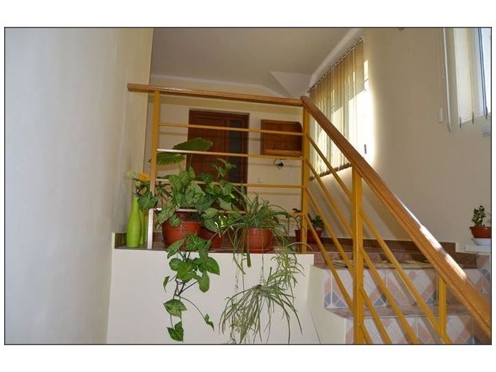 Camere de inchiriat Casa Nelu Pescaru, Mahmudia - imaginea 