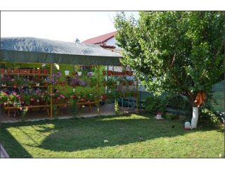 Camere de inchiriat Casa Nelu Pescaru, Mahmudia - 3