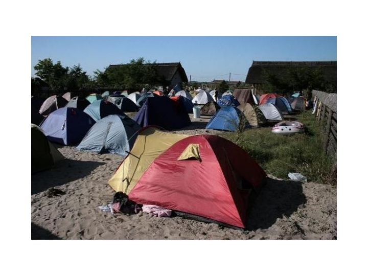 Campingul Dolphin Camping, Sfantu Gheorghe Tulcea - imaginea 