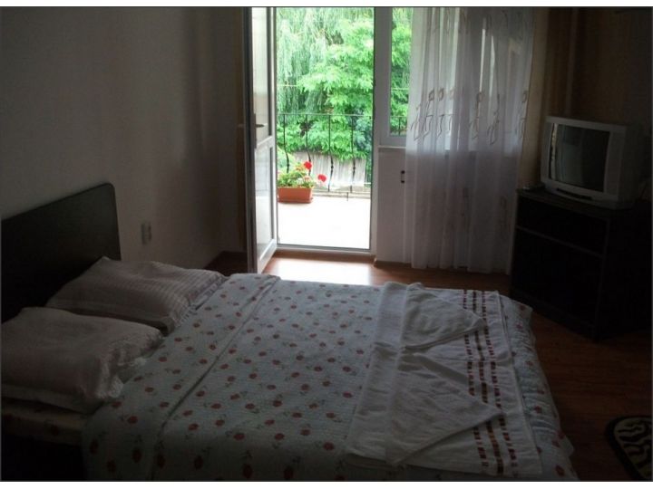 Pensiunea Sellina, Sulina - imaginea 