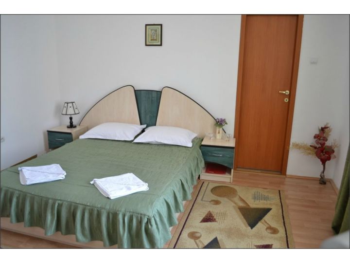 Pensiunea Alex, Tulcea Oras - imaginea 
