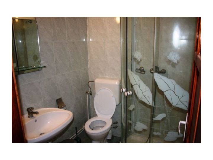 Pensiunea Casa Dintre Salcii, Uzlina - imaginea 