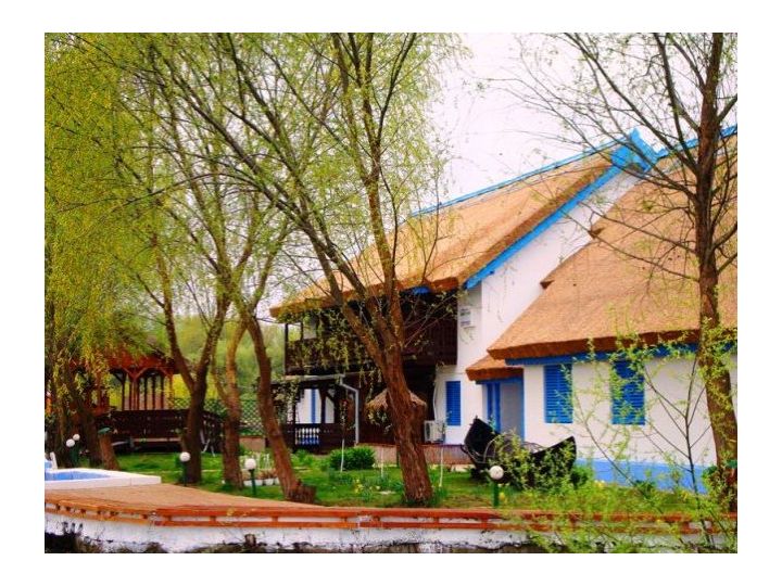 Pensiunea Casa Dintre Salcii, Uzlina - imaginea 