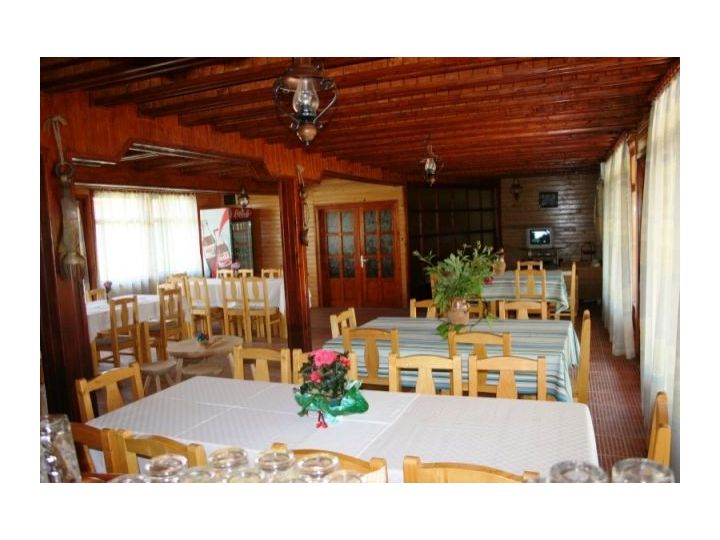 Pensiunea Casa Dintre Salcii, Uzlina - imaginea 