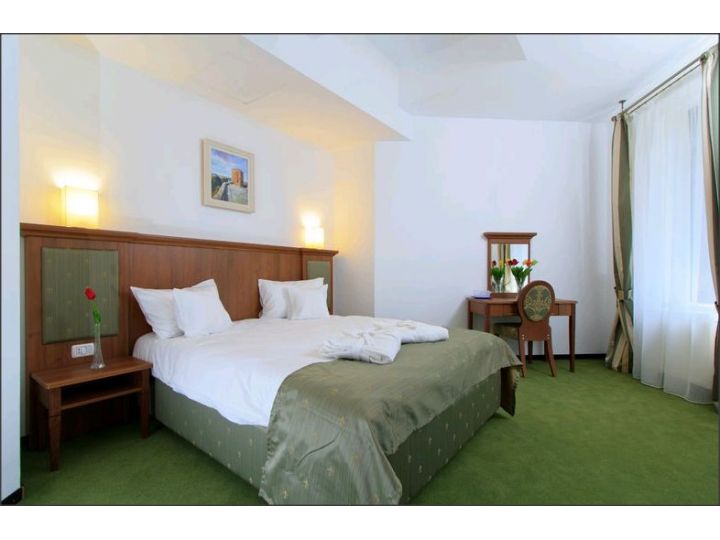 Hotel Palace, Baile Govora - imaginea 