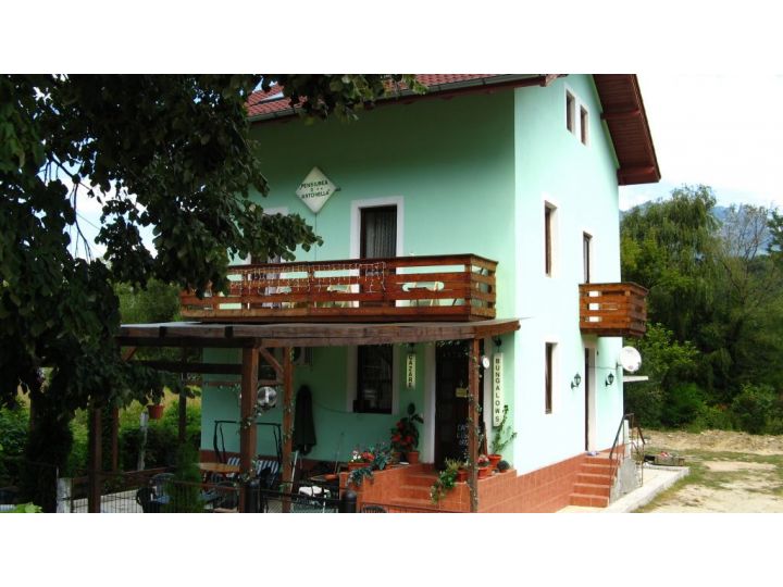 Pensiunea Antonella Bungalow, Calimanesti-Caciulata - imaginea 