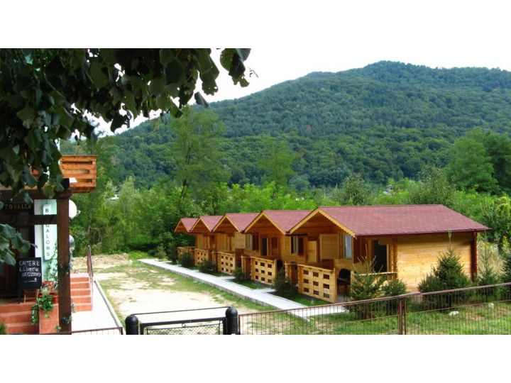 Pensiunea Antonella Bungalow, Calimanesti-Caciulata - imaginea 