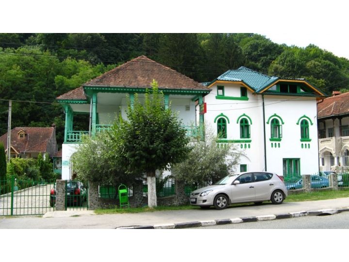 Vila Casa Verde, Calimanesti-Caciulata - imaginea 