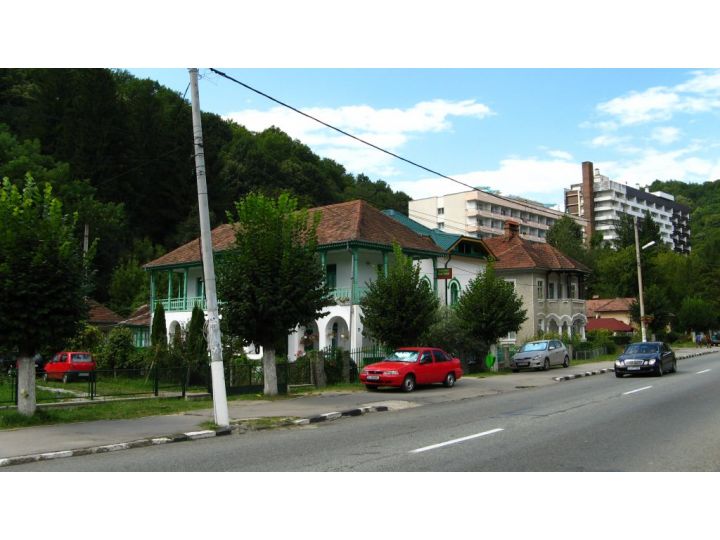 Vila Casa Verde, Calimanesti-Caciulata - imaginea