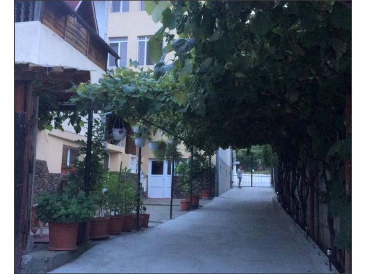Pensiunea Sinziana, Calimanesti-Caciulata - imaginea