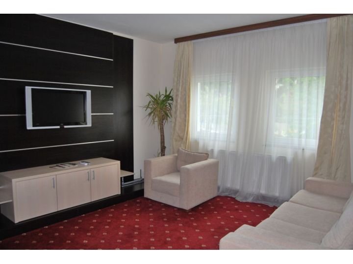 Hotel Castel, Ramnicu Valcea - imaginea