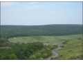Pensiunea Dobrina, Husi - thumb 3