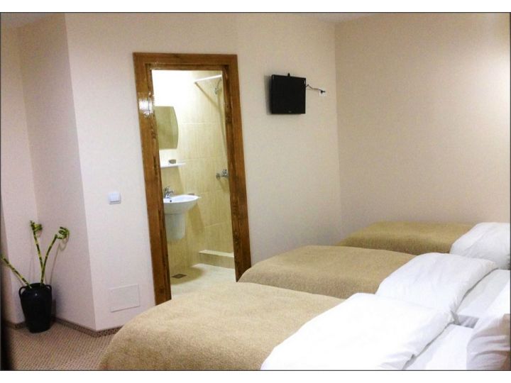 Pensiunea si Motel Adial, Adjud - imaginea 