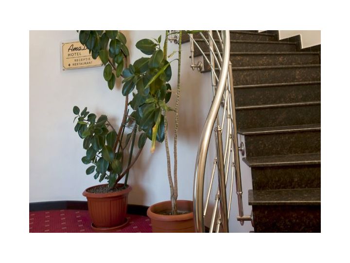 Hotel Amadeus, Focsani - imaginea 