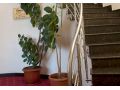 Hotel Amadeus, Focsani - thumb 2