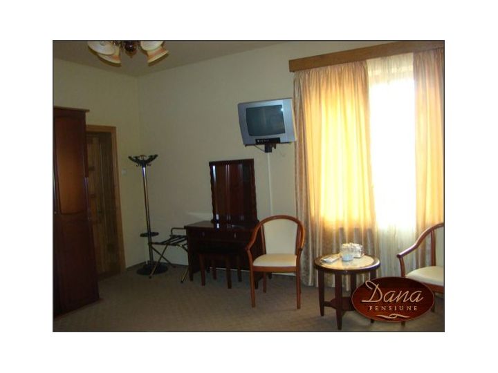 Pensiunea Dana 1, Focsani - imaginea 