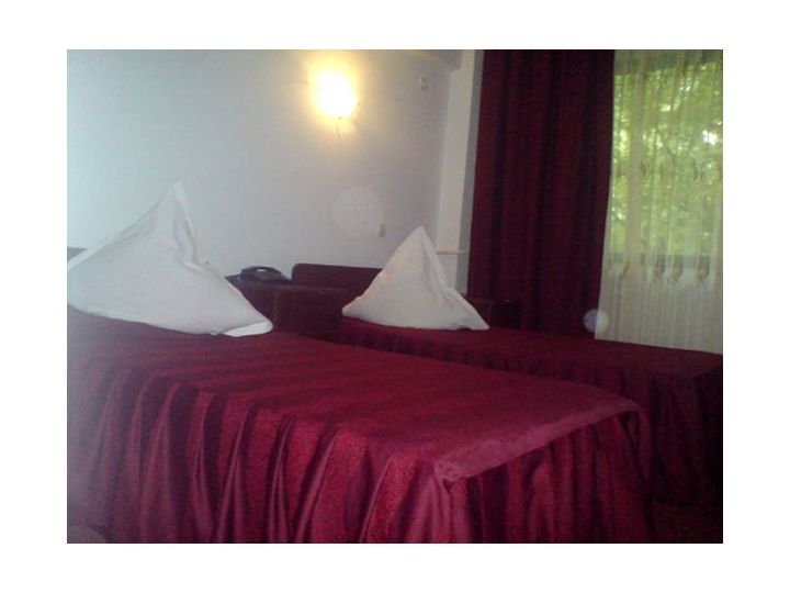 Hotel Vrancea, Focsani - imaginea 